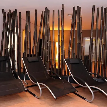 Hotel Schweizer Hof 3*