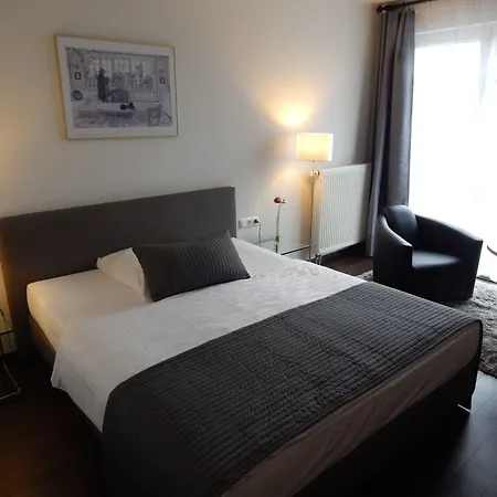 Schweizer Hof מלון 3*